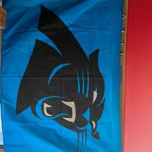 Carolina Panthers Flag